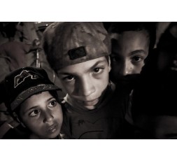 L'EFFROI DE L’ARAIGNÉE, 2013