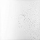 EMPREINTE DE L’ANGE, 2007