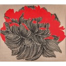 PIVOINE,  23 juin 2009