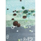 GRAINES DU JOUR, 2005