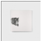 Le livre silencieux, 2013