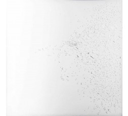 EMPREINTE DE L’ANGE, 2007