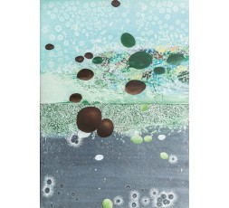 GRAINES DU JOUR, 2005