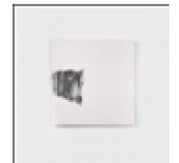 Le livre silencieux, 2013