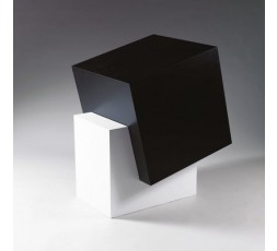 BLACK BOX IN A WHITE CUBE, 2002