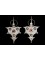 PAIRE DE FIBULES