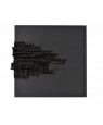 SANS TITRE, 2013